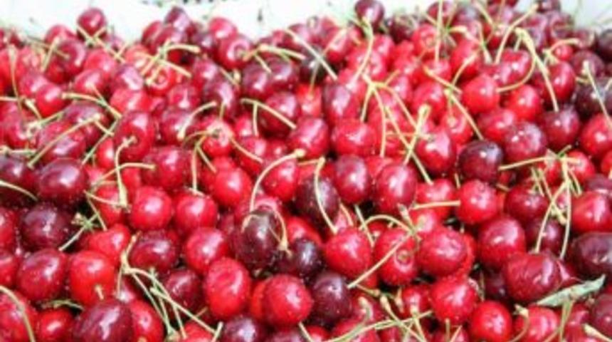 Vali Harput'tan &Ccedil;ift&ccedil;ilere Hormon Uyarısı