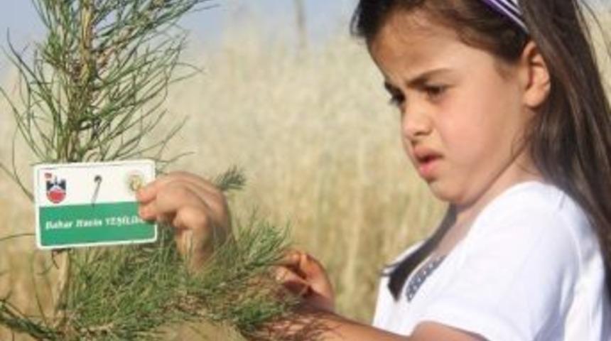 Yeşil Kuşak Projesi Kapsamında Ağa&ccedil;landırmalar Devam Ediyor