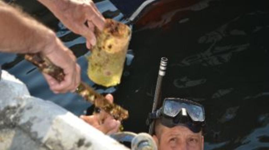 Denizden Çıkanlar Görenleri Şaşırttı