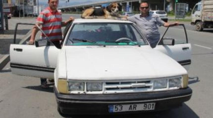 Bu Ancak Rize'de Olur