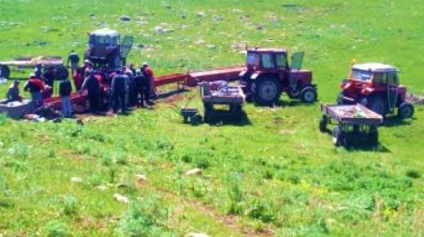 K&ouml;yl&uuml;lerin Hayvanlar İ&ccedil;in Su Telaşı