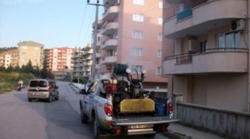 Mudanya&rsquo;da Yaz Seferberliği