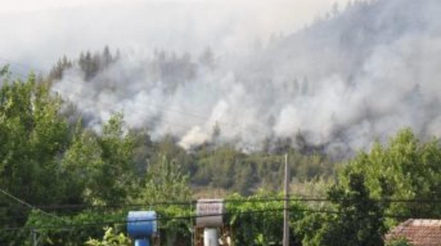 Osmaniye&rsquo;de 20 Hektarlık Kızıl&ccedil;am Ormanı Yandı