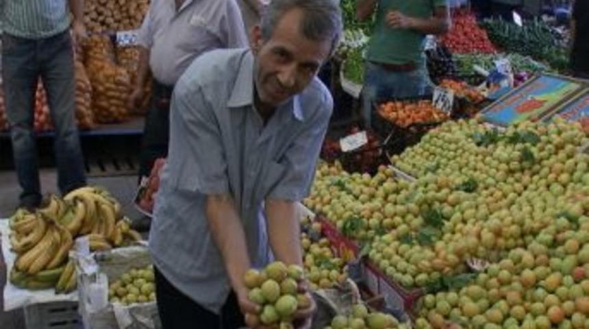 Yaş Kayısı Tezgahlarda Yerini Aldı