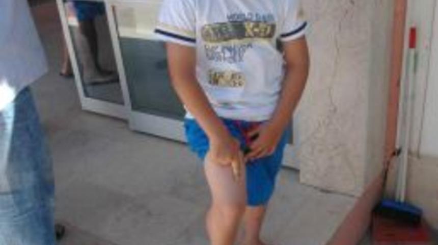 9 Yaşındaki &Ccedil;ocuğu Kene Isırdı