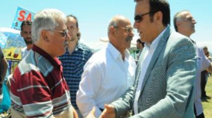 G&ouml;k&ccedil;epınar &Ccedil;ilek Ve Kiraz Festivali