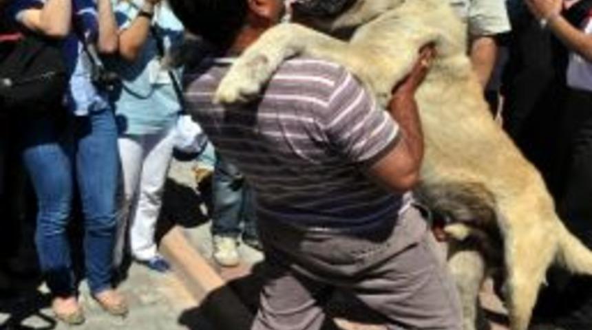 Yabancı Gazeteciler D&uuml;nya Mirası Ulu Cami&rsquo;de Buluştu