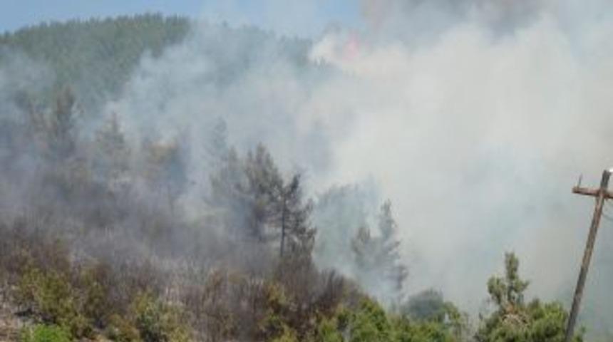 Kahramanmaraş&rsquo;ın Ciğerleri Yandı