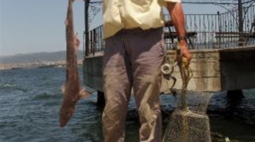 Oltaya K&ouml;pek Balığı Takıldı