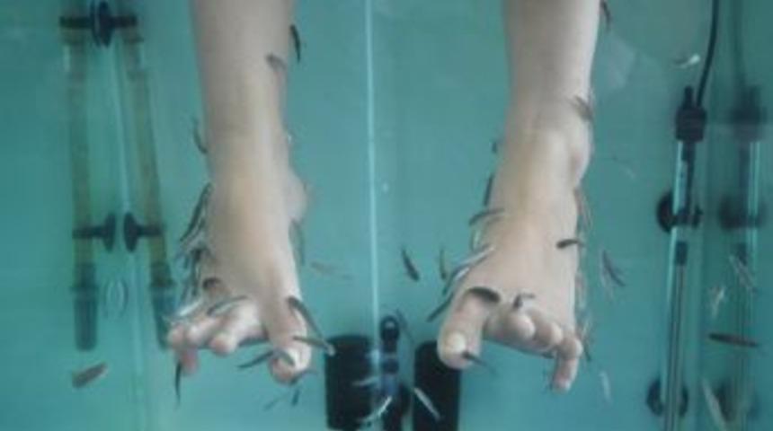 Doktor Balıklar Turizme Hizmet Ediyor