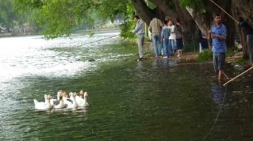 G&ouml;lc&uuml;k G&ouml;l&uuml;n&uuml;n Al&uuml;vyonla Dolmaması İ&ccedil;in &Ccedil;alışma Yapılıyor