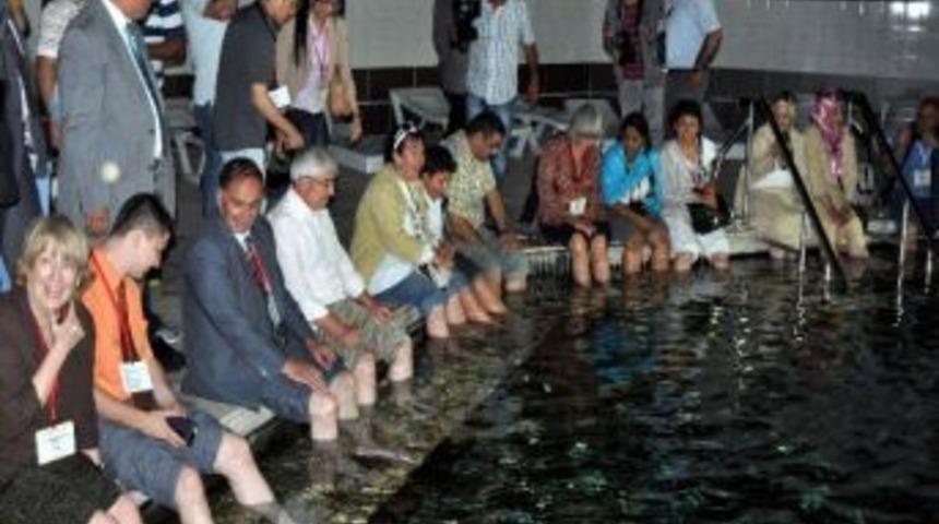 Konuklar Doktor Balıklara Hayran Kaldı