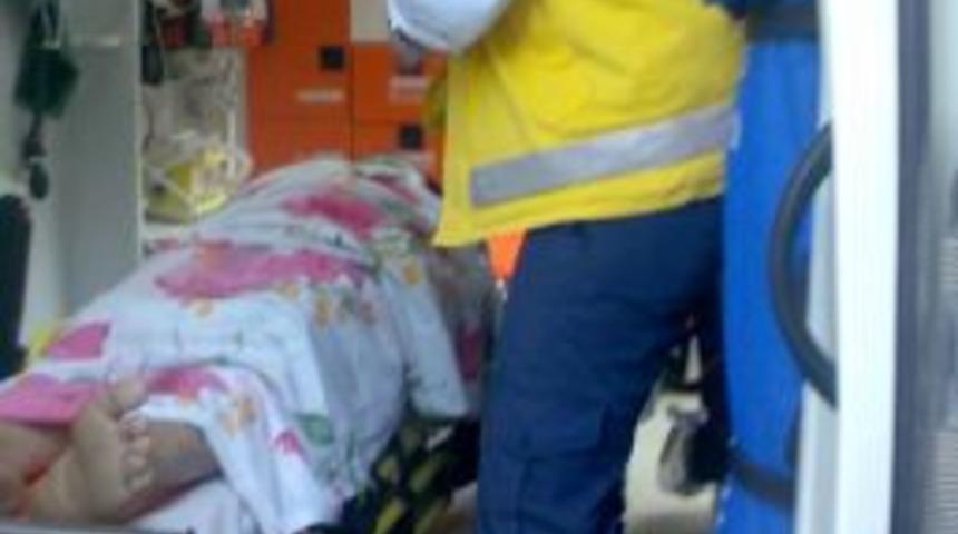 Ağa&ccedil;tan D&uuml;şerek U&ccedil;uruma Yuvarlandı