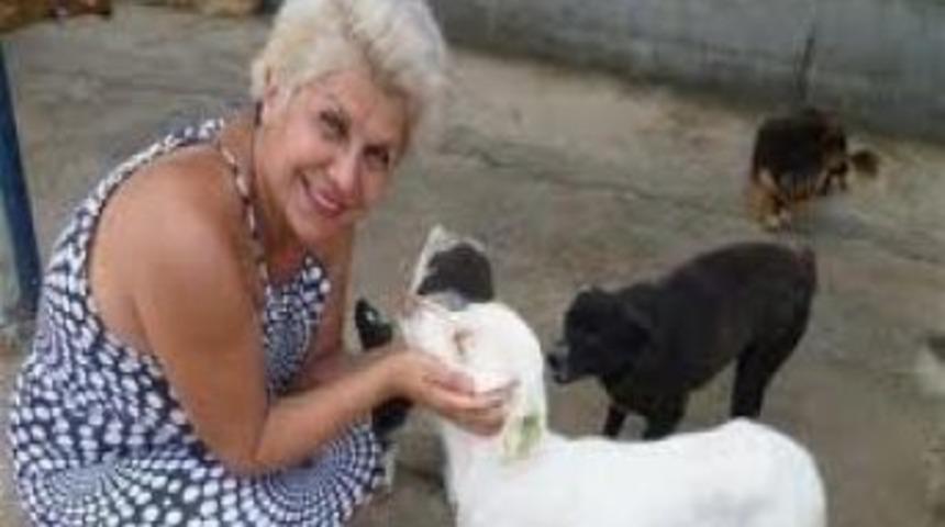 Hayvanseverlerden &lsquo;sokak&rsquo; A&ccedil;ılımı