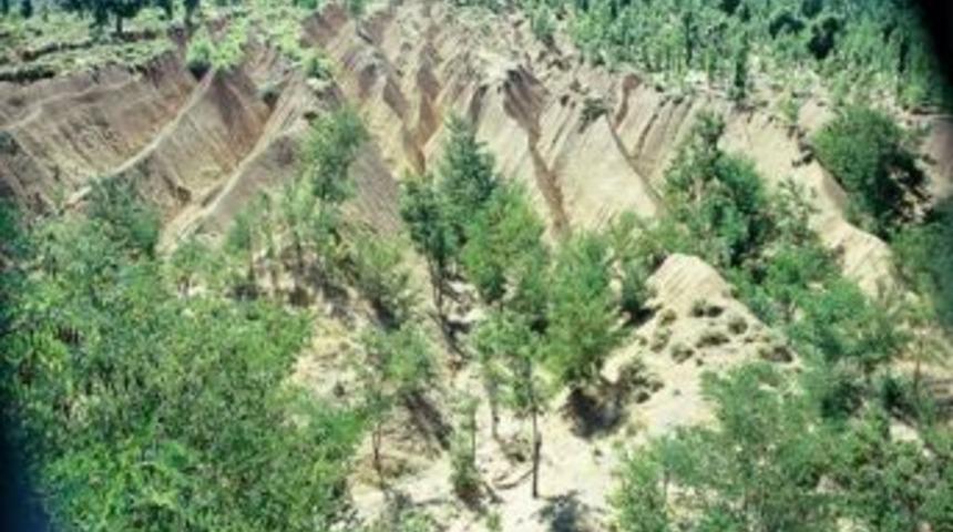 &Ouml;zdemir, &ldquo;&ccedil;&ouml;lleşme Yoksulluğun Hem Nedeni Hem De Sonucudur&rdquo;