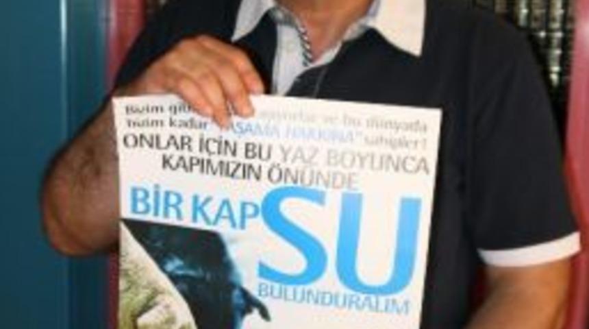 Ordu&rsquo;da Sokak Hayvanları İ&ccedil;in &lsquo;su Odağı&rsquo; &Ccedil;ağrısı