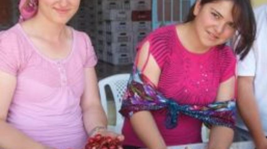 Selendi'den Avrupa'ya Kiraz İhracatı Devam Ediyor