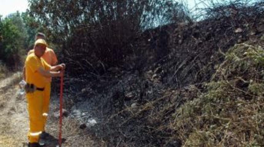 Nazilli&rsquo;de İki Ayrı Yangın Korkuttu