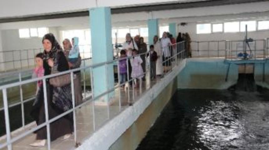 Erzurum B&uuml;y&uuml;kşehir Belediyesi&rsquo;nin &ldquo;kadın G&ouml;z&uuml;yle B&uuml;y&uuml;kşehir&rdquo; Projesi S&uuml;r&uuml;yor&hellip;