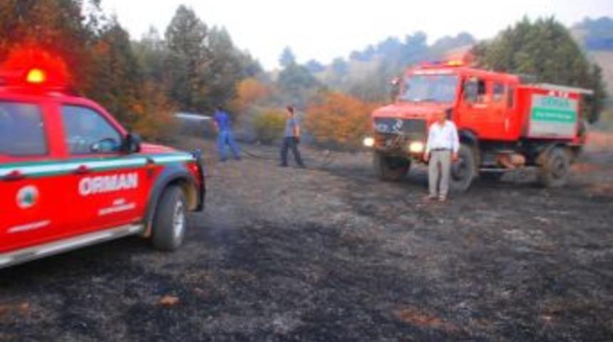 Osmancık'ta orman yangını