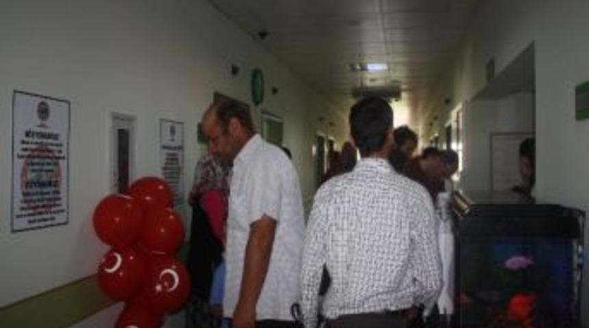 Geleneksel Toplu S&uuml;nnet Organizasyonu Başladı