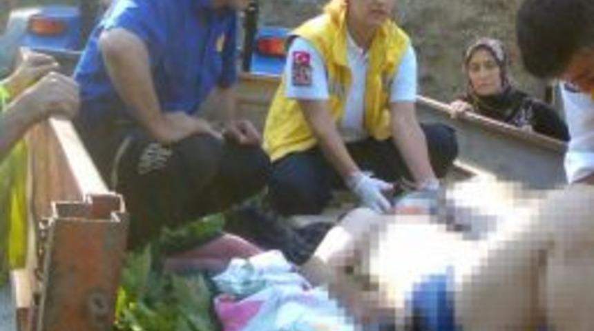 Ihlamur Ağacından D&uuml;şt&uuml;kten Sonra U&ccedil;uruma Yuvarlandı