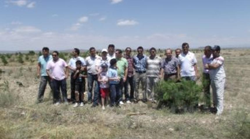 Iğdır&rsquo;da Fidan Dikimi