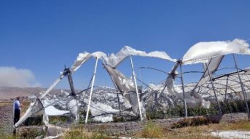 Nusaybin'de Şiddetli R&uuml;zgar Seralara Zarar Verdi