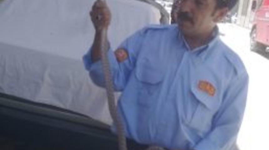 Aşırı Sıcaklar Nedeniyle Evlerde Yılan G&ouml;r&uuml;lmeye Başlandı