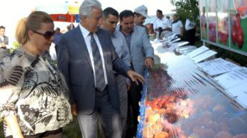 Beta&rsquo;nın yetiştirdiği meyveler tanıtıldı