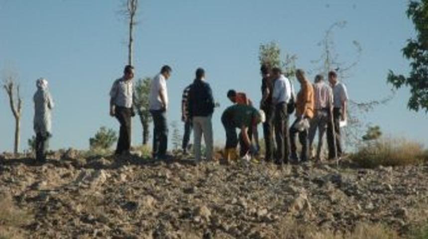 Hobi Bah&ccedil;esinde Kafatası Ve Kemikler Bulundu