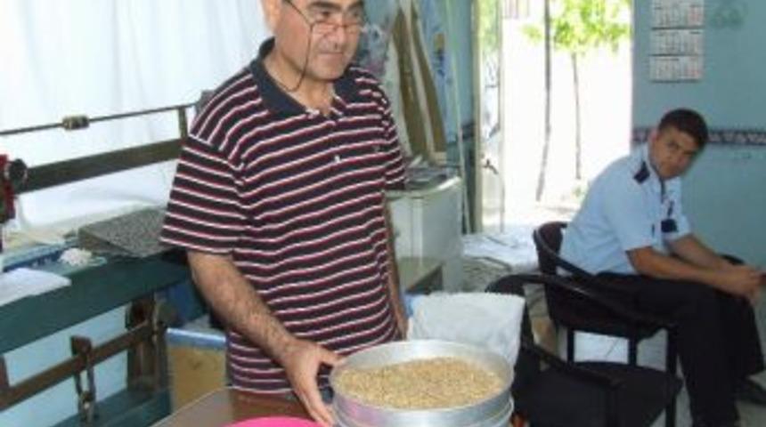 Ofis Ortaca Ve Fethiye&rsquo;de Buğday Alımlarına Başladı