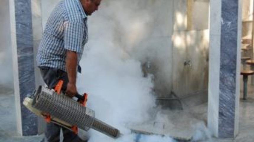 Dalaman&rsquo;da Sivrisineklerle M&uuml;cadele Başladı