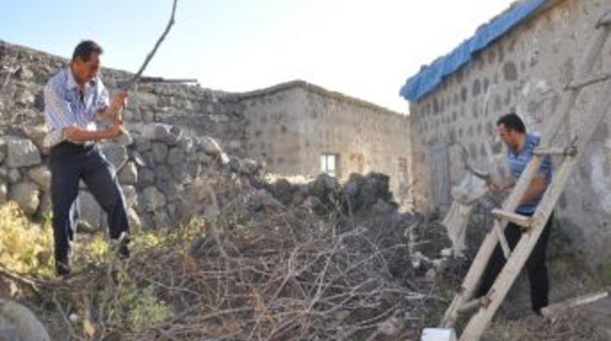 Dikmen K&ouml;y&uuml;n&uuml; Yılanlar Bastı