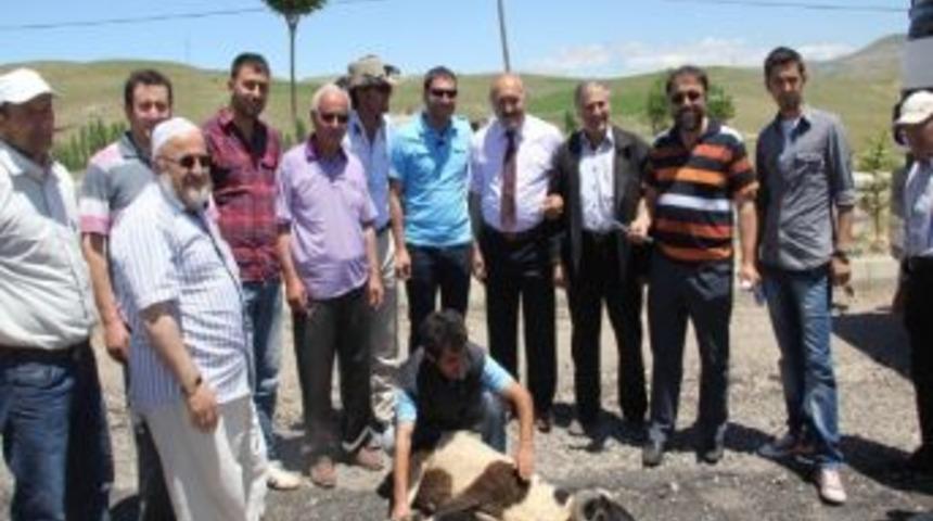 Kop - Vauk Dağı Karayolu &Ccedil;alışmaları Başladı