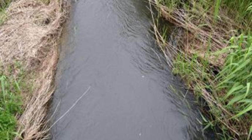 Bir Zamanlar Suyu I&ccedil;ilen Dalaman &Ccedil;ayı'nda Şimdi Zehir Akıyor
