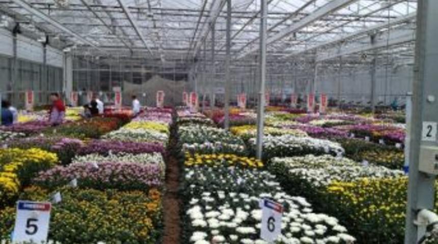 Marka'dan &Ccedil;i&ccedil;ek İnceleme Gezisi