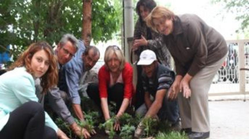 Kadınlar &Ccedil;i&ccedil;ek Ekiyor Paland&ouml;ken Reng&acirc;renk &Ccedil;i&ccedil;ek A&ccedil;ıyor