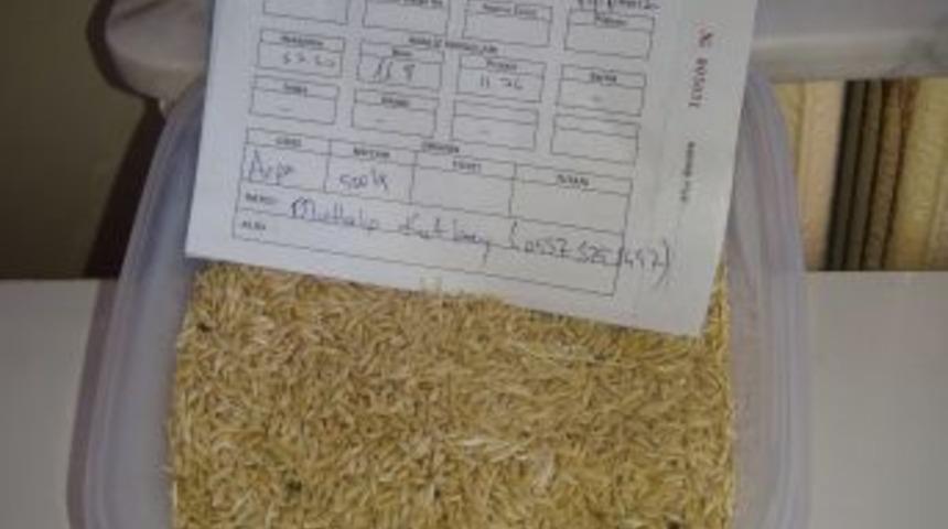 Karaman'da Yılın Ilk Mahsul&uuml; Arpanın Kilosu 3,35 Liradan Satıldı