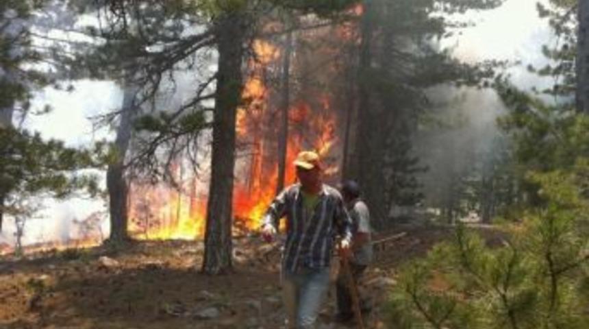 Seydişehir&rsquo;deki Orman Yangını S&ouml;nd&uuml;r&uuml;ld&uuml;
