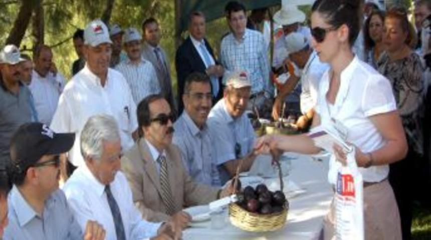 Beta'nın Meyveleri G&ouml;r&uuml;c&uuml;ye &Ccedil;ıktı