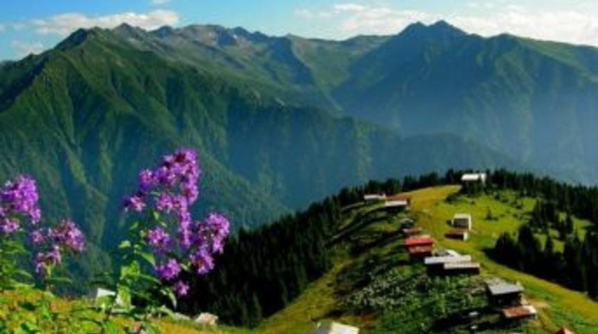 Doğu Karadeniz, Arapların G&ouml;zdesi Oldu