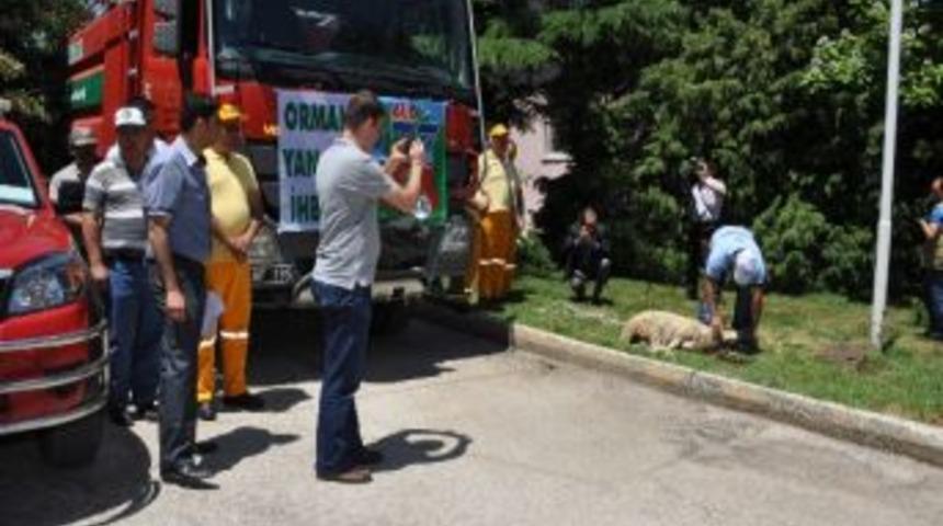 Yangınla M&uuml;cadele D&ouml;nemi Başladı