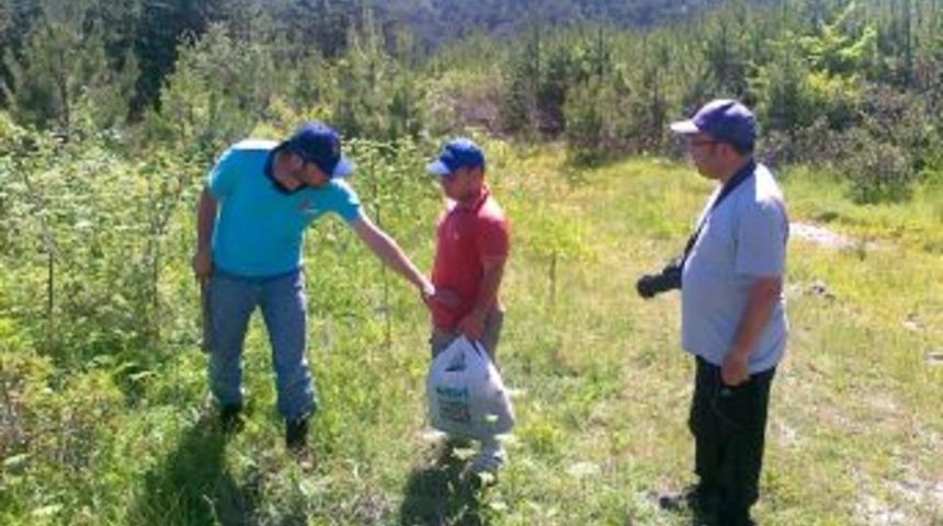 Balıkesir'deki Ulus Dağı'nın Florası &Ccedil;ıkarılıyor