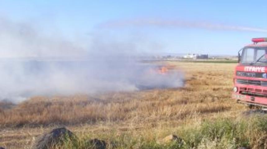 Viranşehir’de Buğday Ekili Tarla Kül Oldu