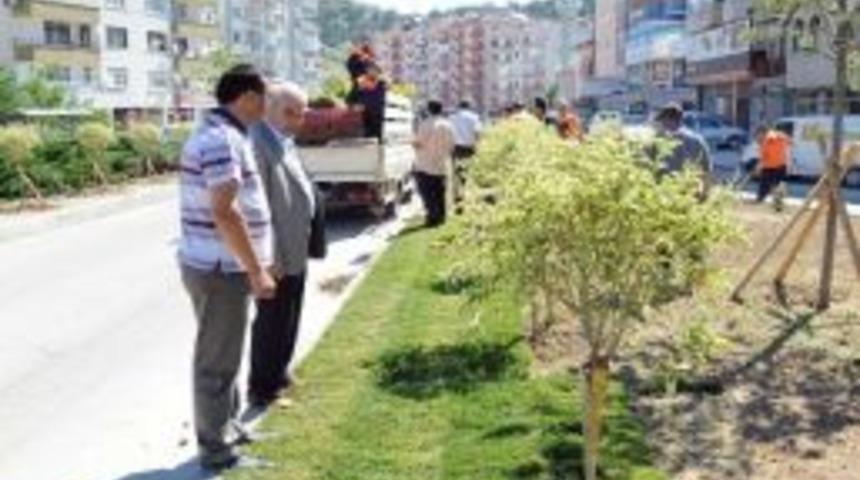 Belediye Park Ve Bah&ccedil;eler M&uuml;d&uuml;rl&uuml;ğ&uuml;&rsquo;nde &Ccedil;alışmalar T&uuml;m Hızıyla S&uuml;r&uuml;yor