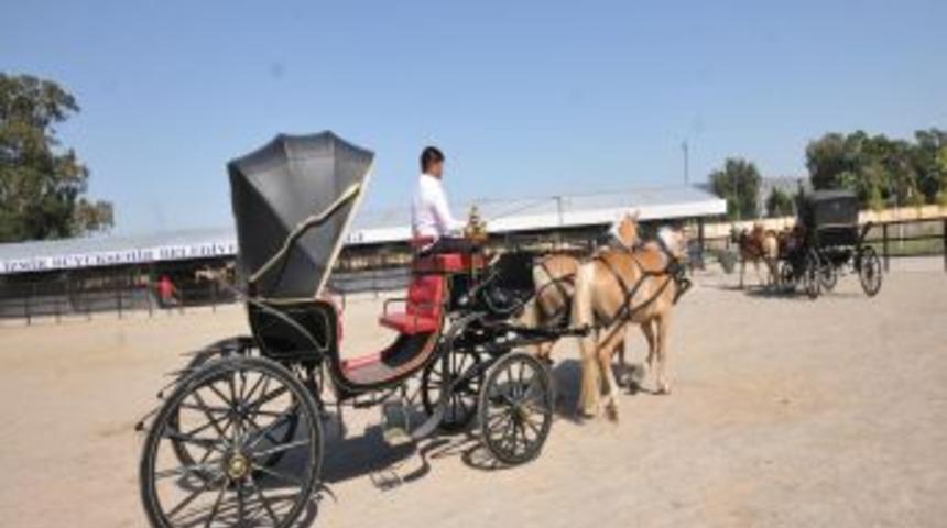 İzmir&rsquo;in Yeni Faytonları