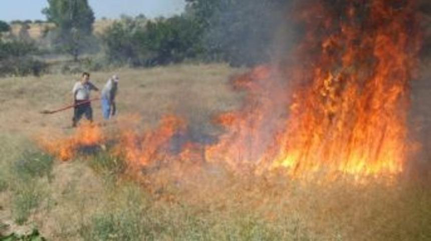 Arazi Yangınları İle Doğal Ve Ekolojik Denge Yok Oluyor