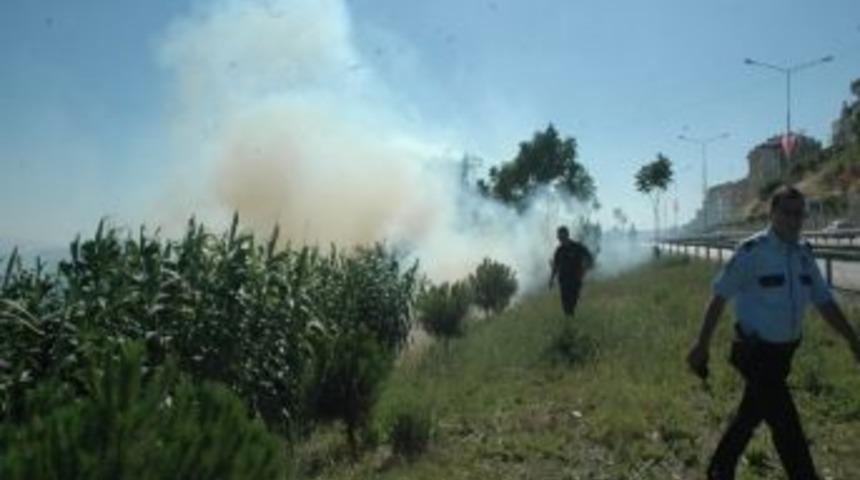 Tekirdağ&rsquo;da &Ccedil;amlık Alanda Yangın