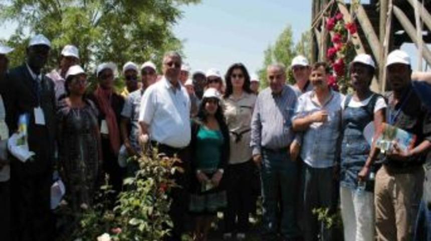 Tika Ve Unccd Yetkilileri Torku Ağabeyli Ormanı&rsquo;nı Gezdi